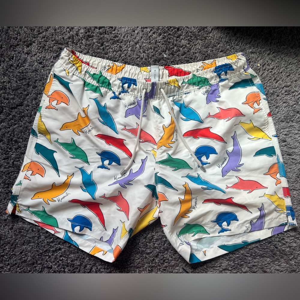 Bluemint Swim Trunks BRAND NEW!